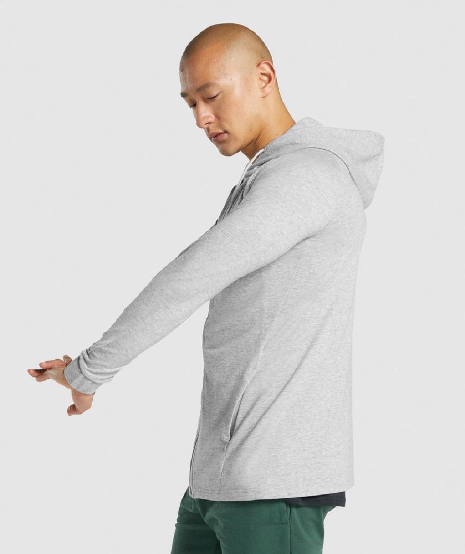 Sudadera Con Capucha Gymshark Critical 2.0 Zip Up Hombre Gris Claro | CO 3647XYU